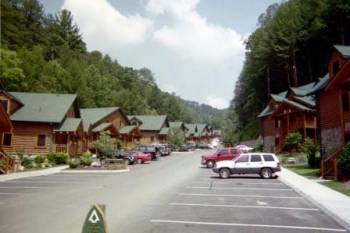   , Picture 9