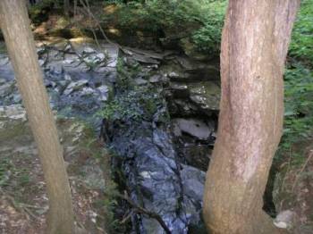   , Picture 5