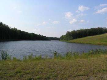   , Picture 6