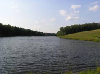   , Picture 7