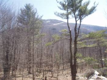   , Picture 6
